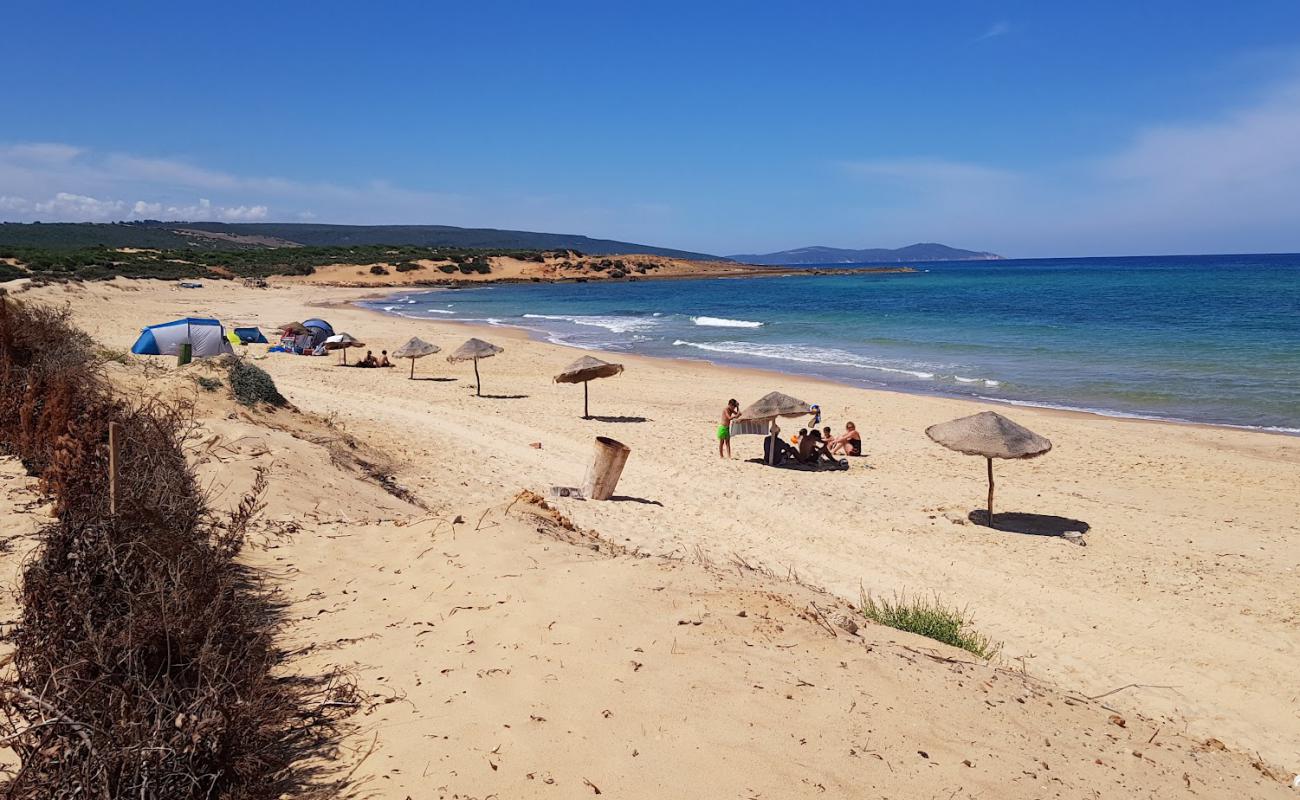 Sejenane Beach'in fotoğrafı parlak ince kum yüzey ile