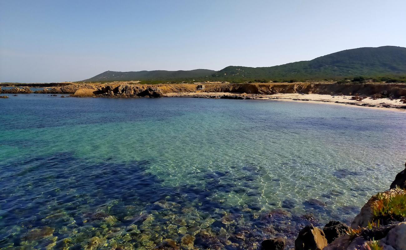 Plage Sidi el Bechir'in fotoğrafı parlak ince kum yüzey ile