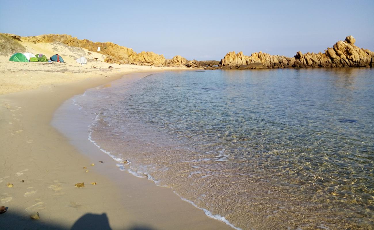 Plage Sidi el Bechir II'in fotoğrafı parlak ince kum yüzey ile