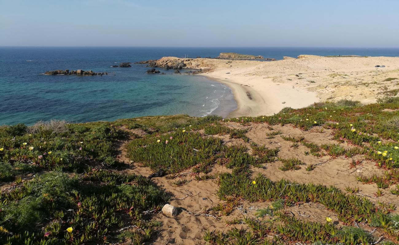 Ras Angela Beach'in fotoğrafı i̇nce bej kum yüzey ile