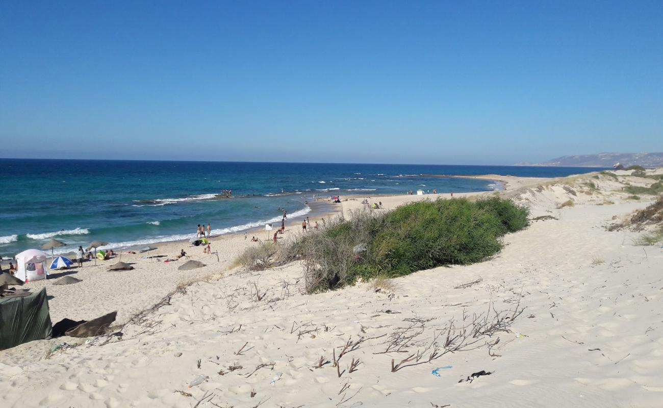 Plage du Remel'in fotoğrafı kahverengi kum yüzey ile