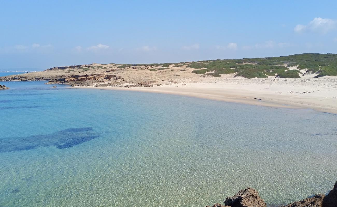 Plage boukrim II'in fotoğrafı parlak kum yüzey ile