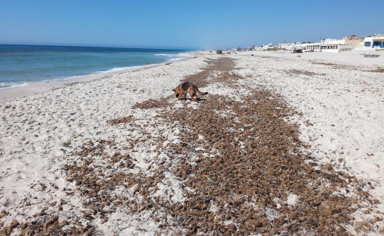 EL Mrigueb Beach II'in fotoğrafı i̇nce bej kum yüzey ile