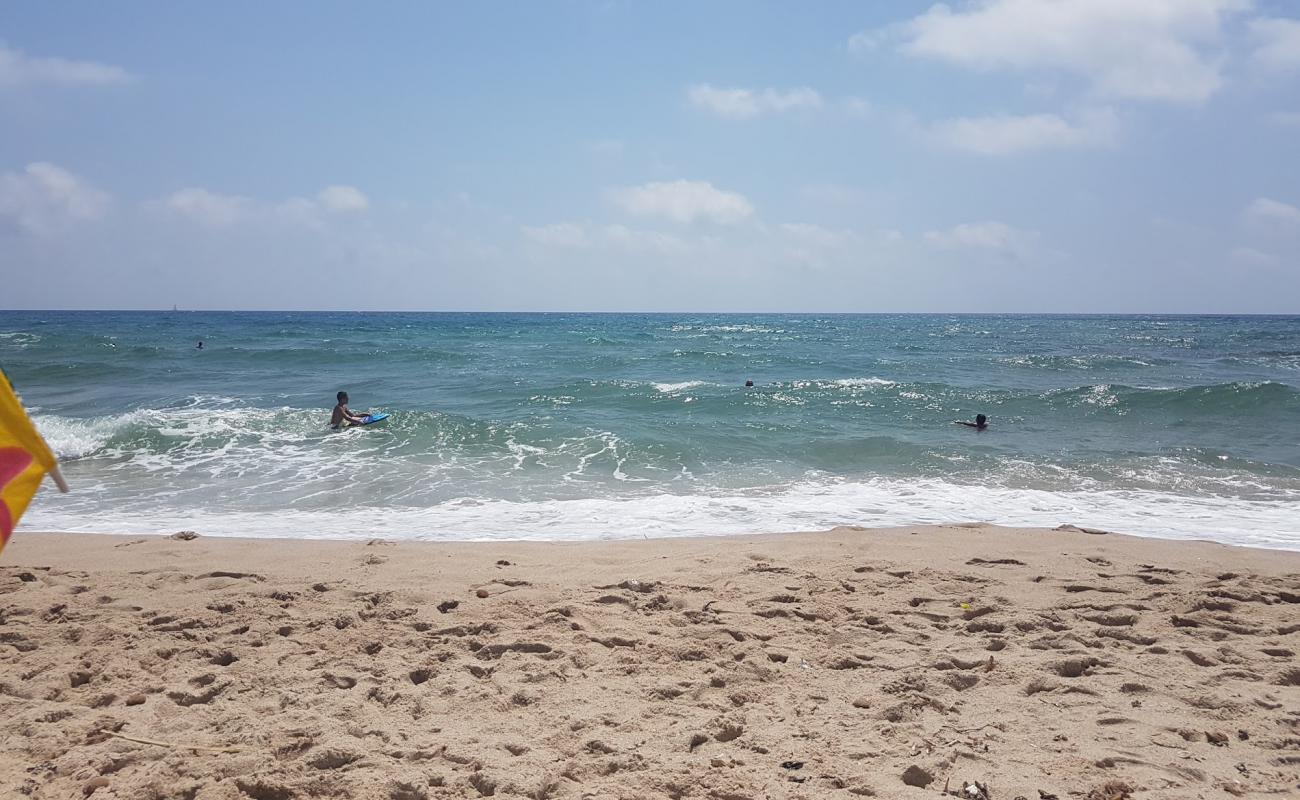 Maamoura Plage'in fotoğrafı parlak kum yüzey ile