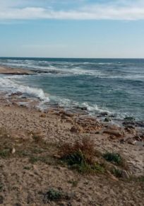 Maamoura
