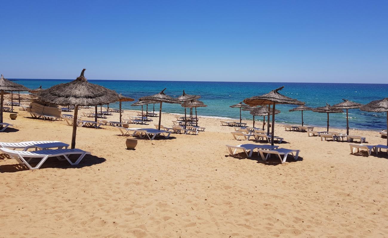 Plage Sultan'in fotoğrafı i̇nce bej kum yüzey ile