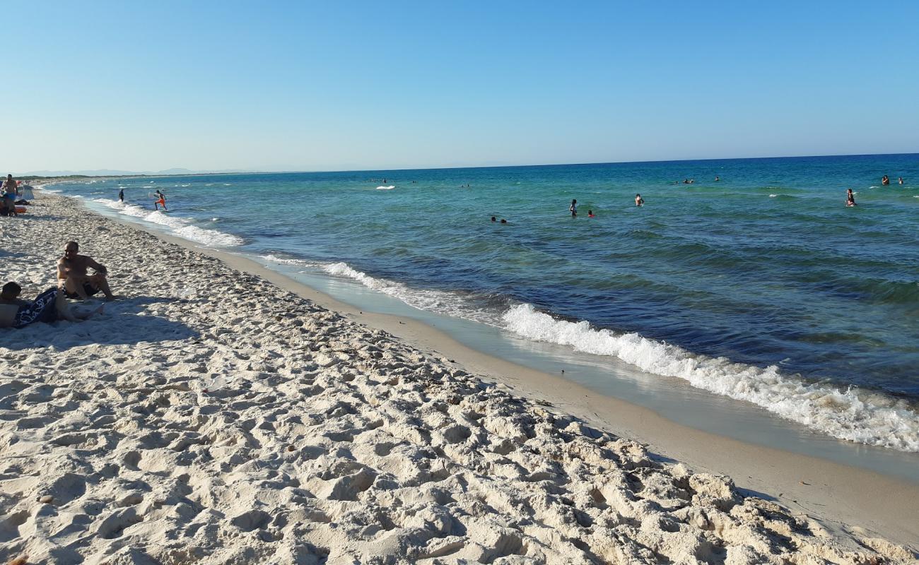 Plage Privee Al Madfoun'in fotoğrafı açık bej kum yüzey ile