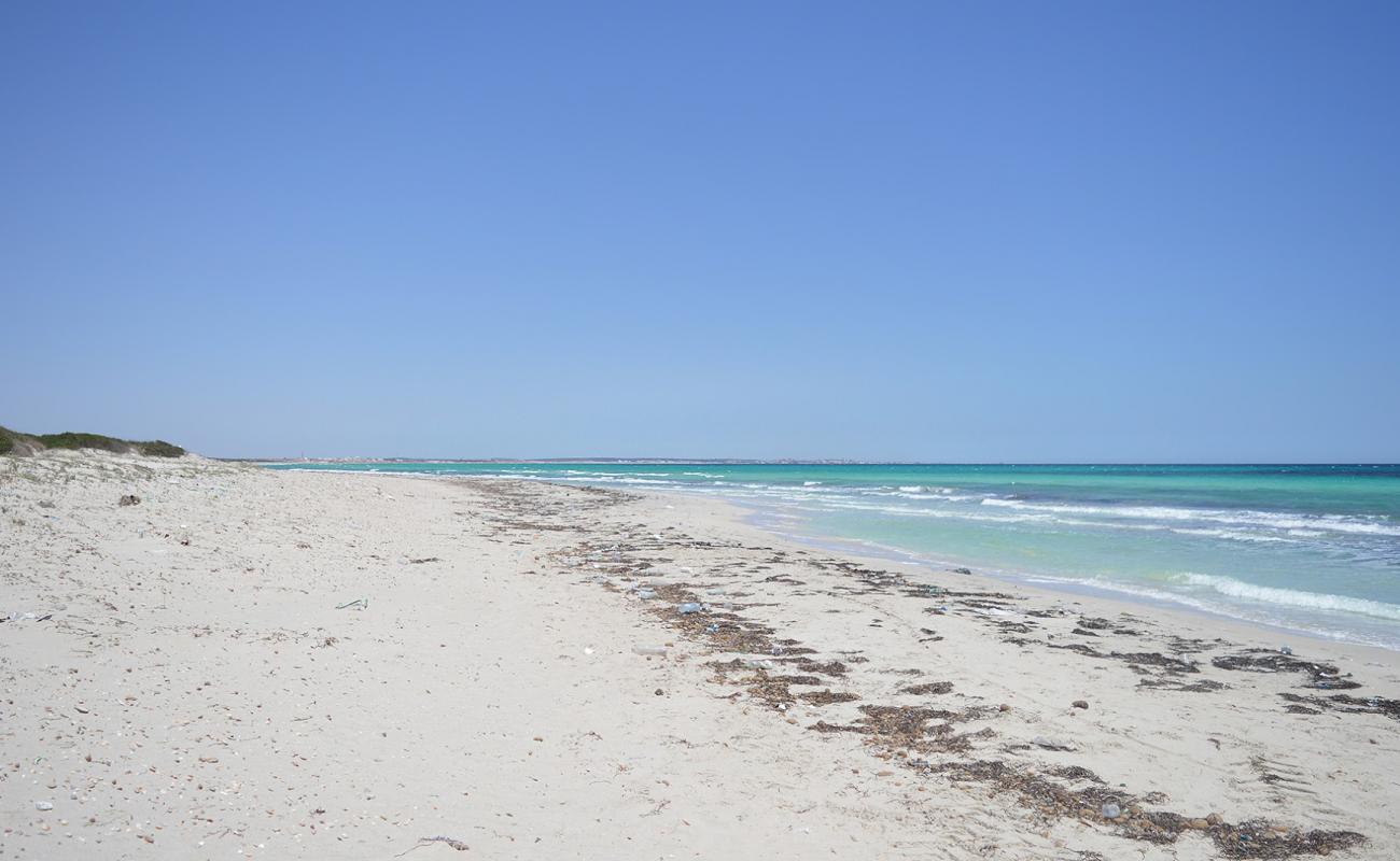 El Aaliya plage'in fotoğrafı beyaz kum yüzey ile