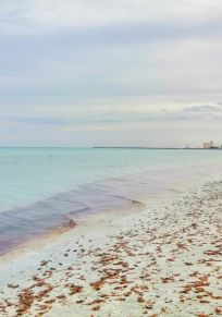 Ghannouch