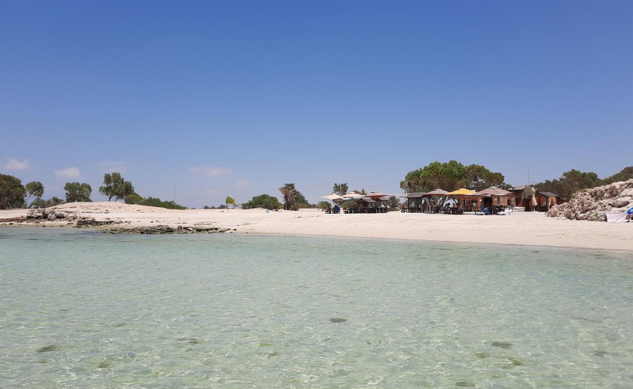 Le Petit Marin'in fotoğrafı beyaz kum yüzey ile