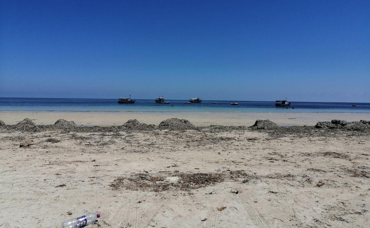 El Ogla Beach'in fotoğrafı beyaz kum yüzey ile