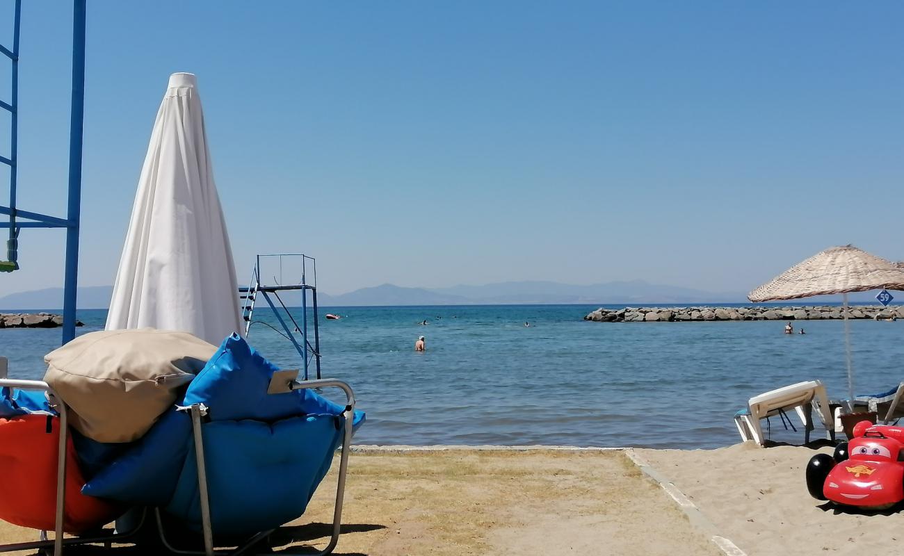Aquarium beach'in fotoğrafı açık bej kum yüzey ile