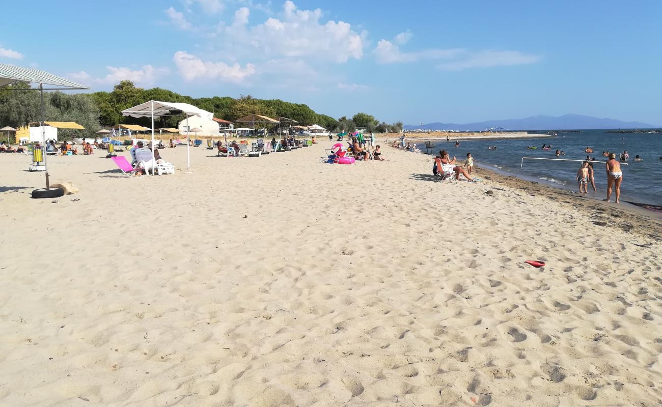 Professors beach'in fotoğrafı parlak kum yüzey ile