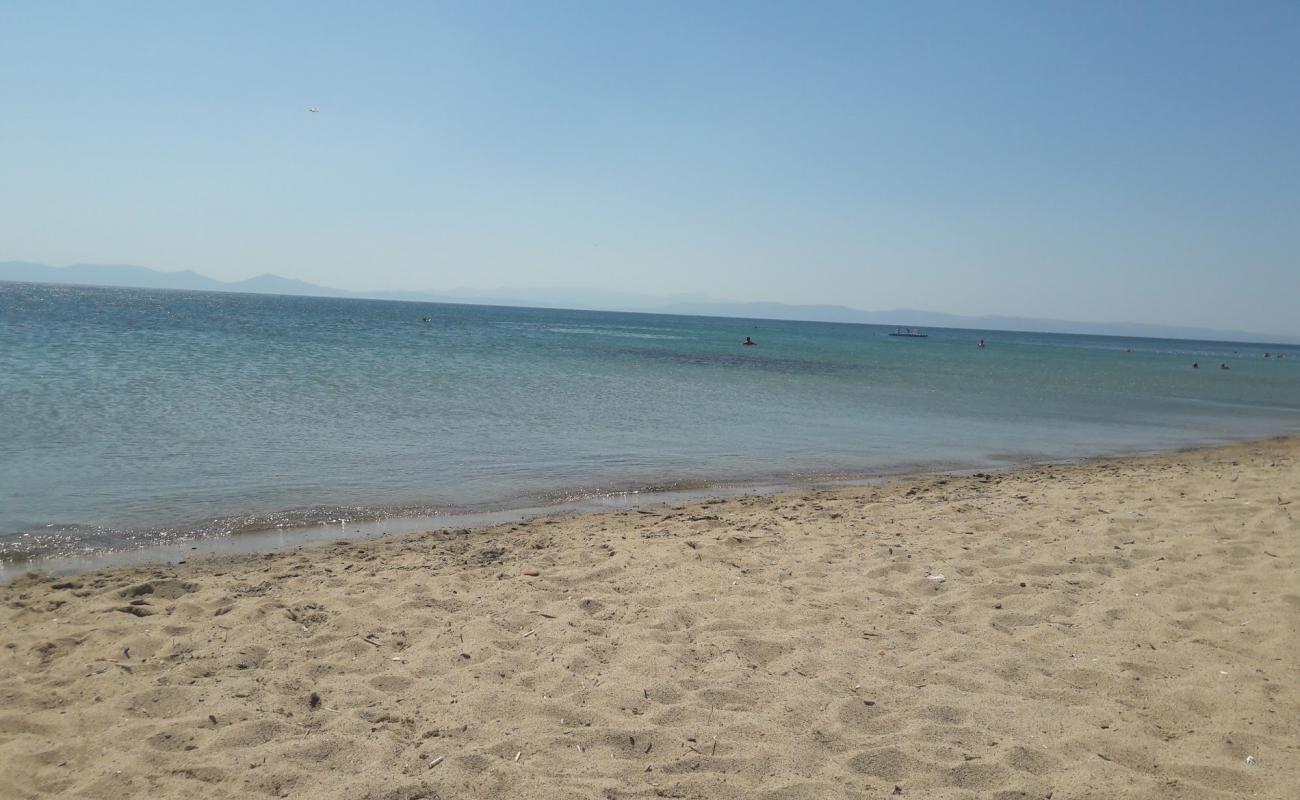 Bilentur cd. beach'in fotoğrafı parlak kum yüzey ile