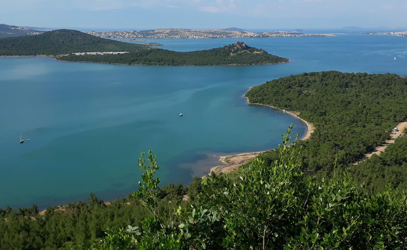 Kumru Bay beach III'in fotoğrafı çakıl ile kum yüzey ile