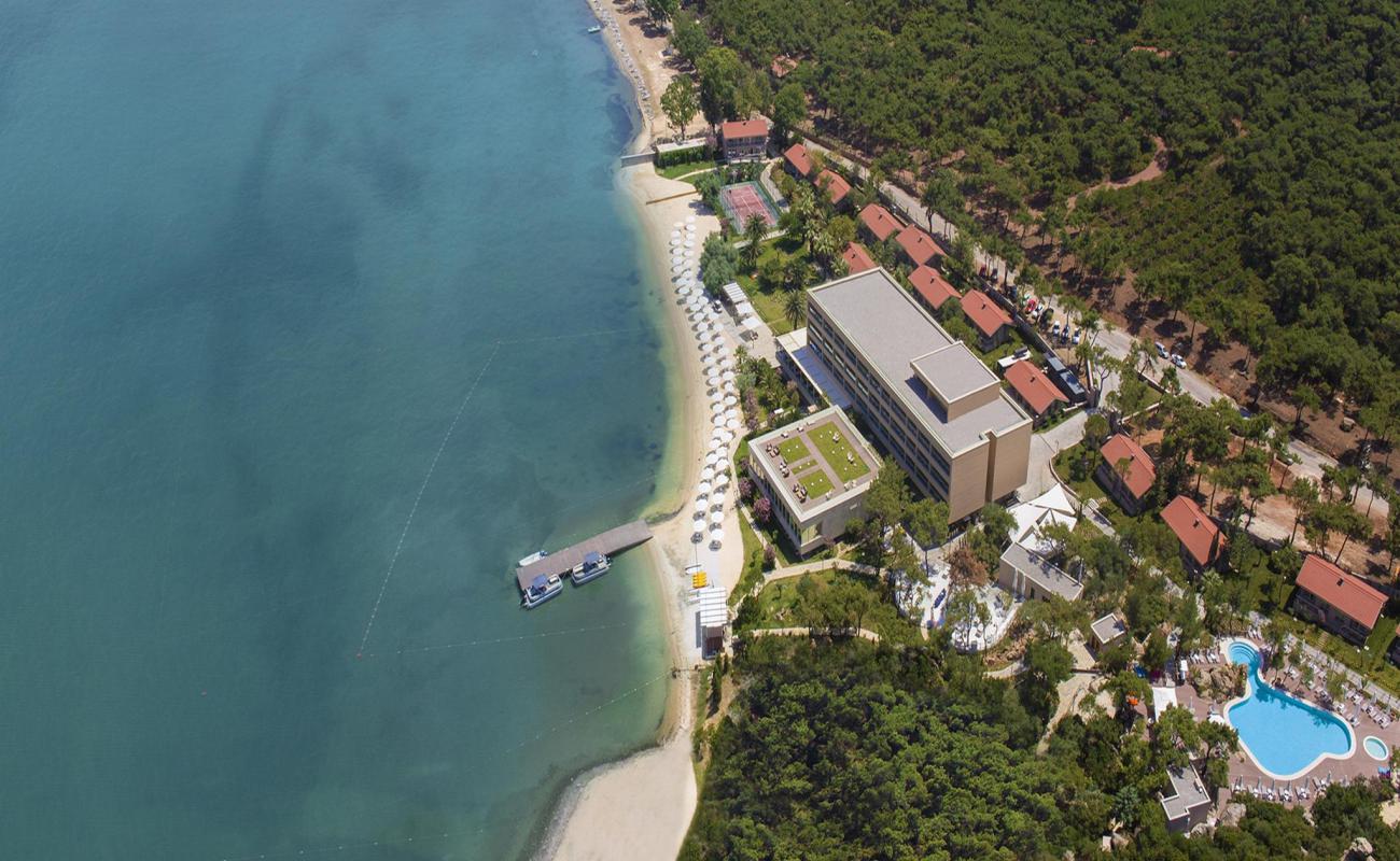 Ayvalik beach'in fotoğrafı parlak kum yüzey ile