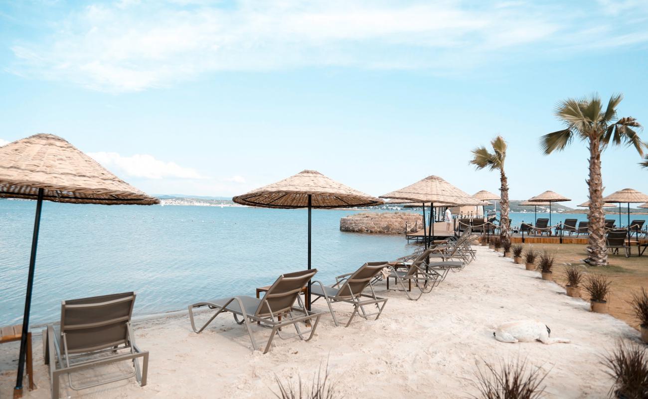 Cunda beach'in fotoğrafı parlak kum yüzey ile