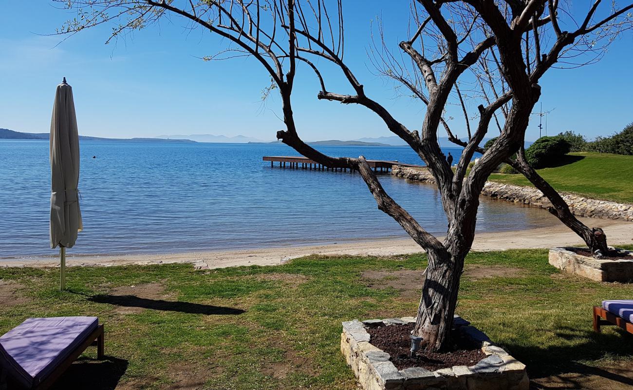 Ortunc Bay'in fotoğrafı parlak kum yüzey ile