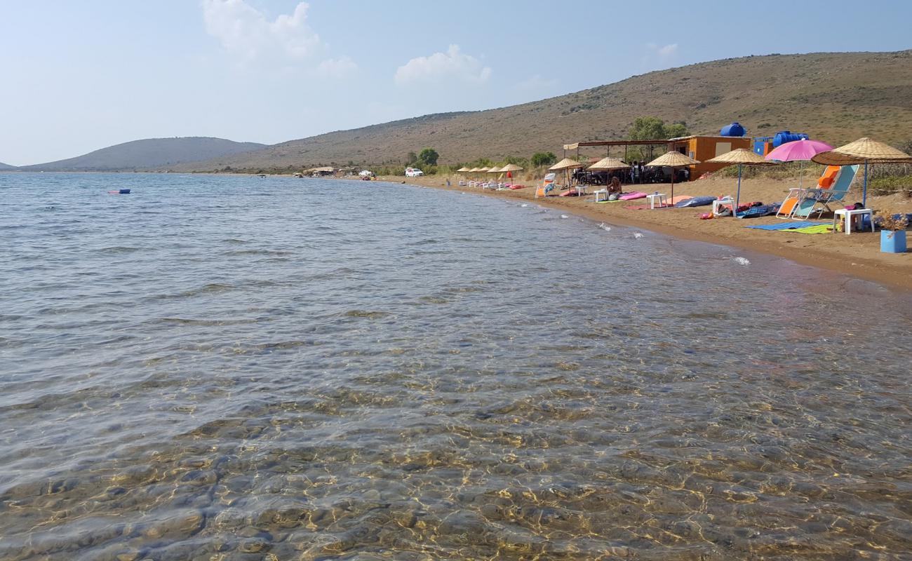 Alibey beach'in fotoğrafı siyah kum ve çakıl yüzey ile