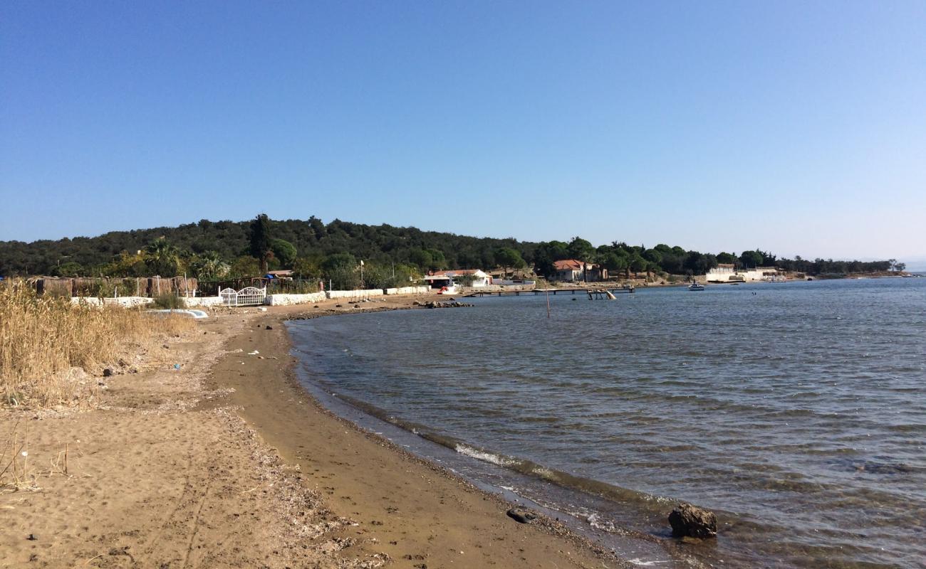 Igdeli Bay beach'in fotoğrafı parlak kum yüzey ile