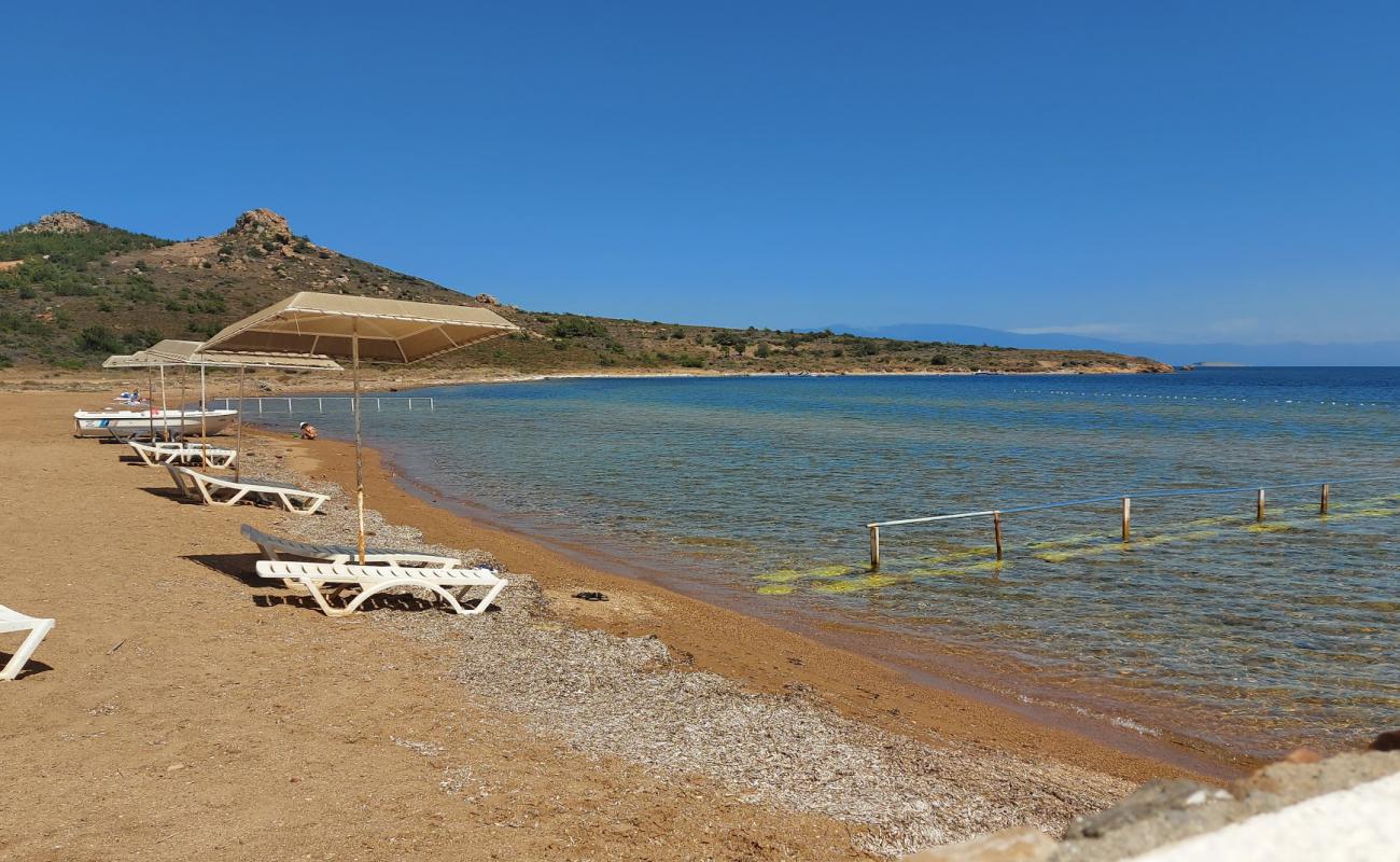 Cataltepe beach'in fotoğrafı hafif çakıl yüzey ile