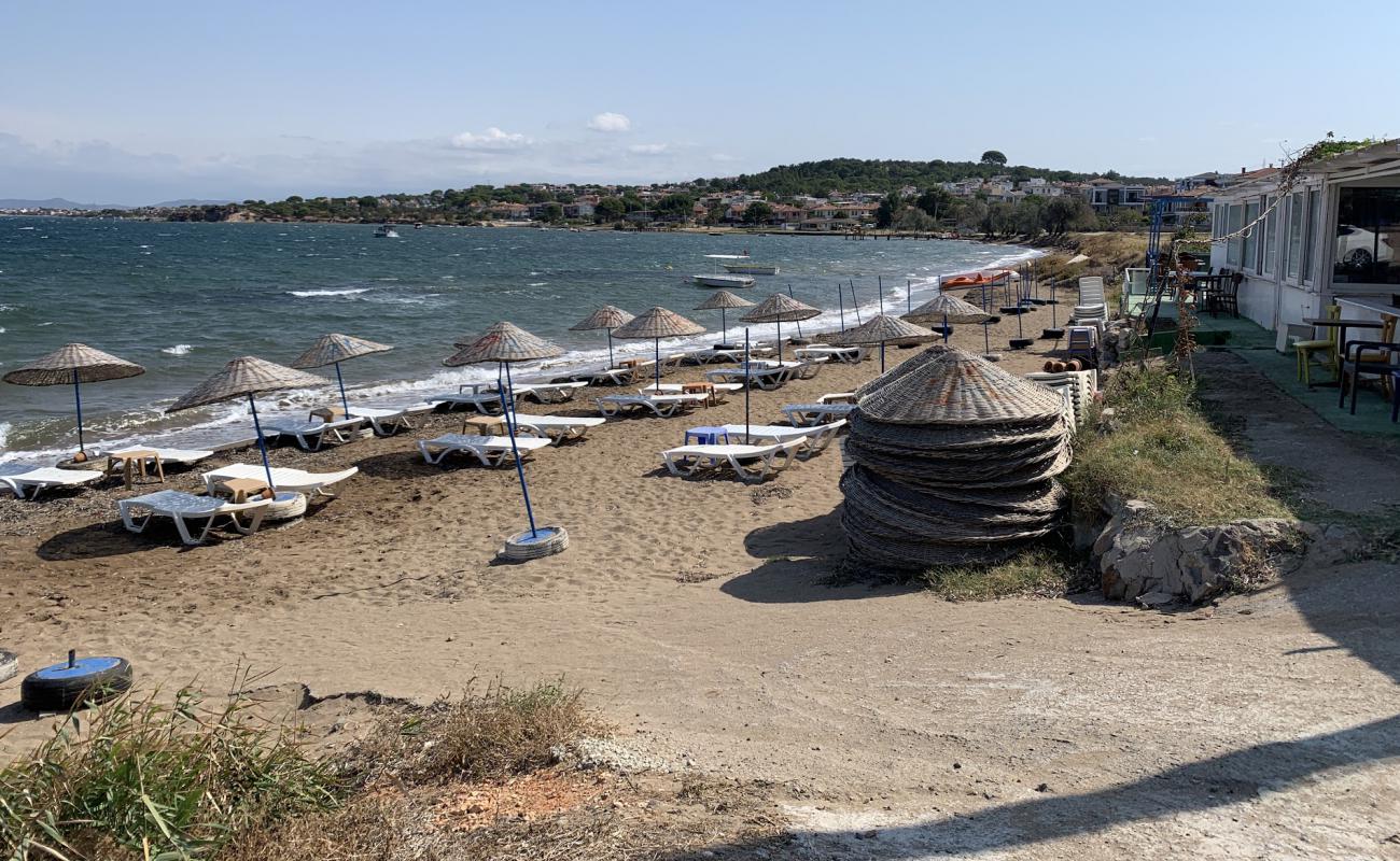 Ayvalik İgdeli Plajı'in fotoğrafı parlak kum yüzey ile