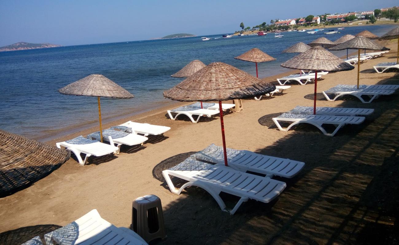 Ayvalik beach II'in fotoğrafı parlak kum yüzey ile