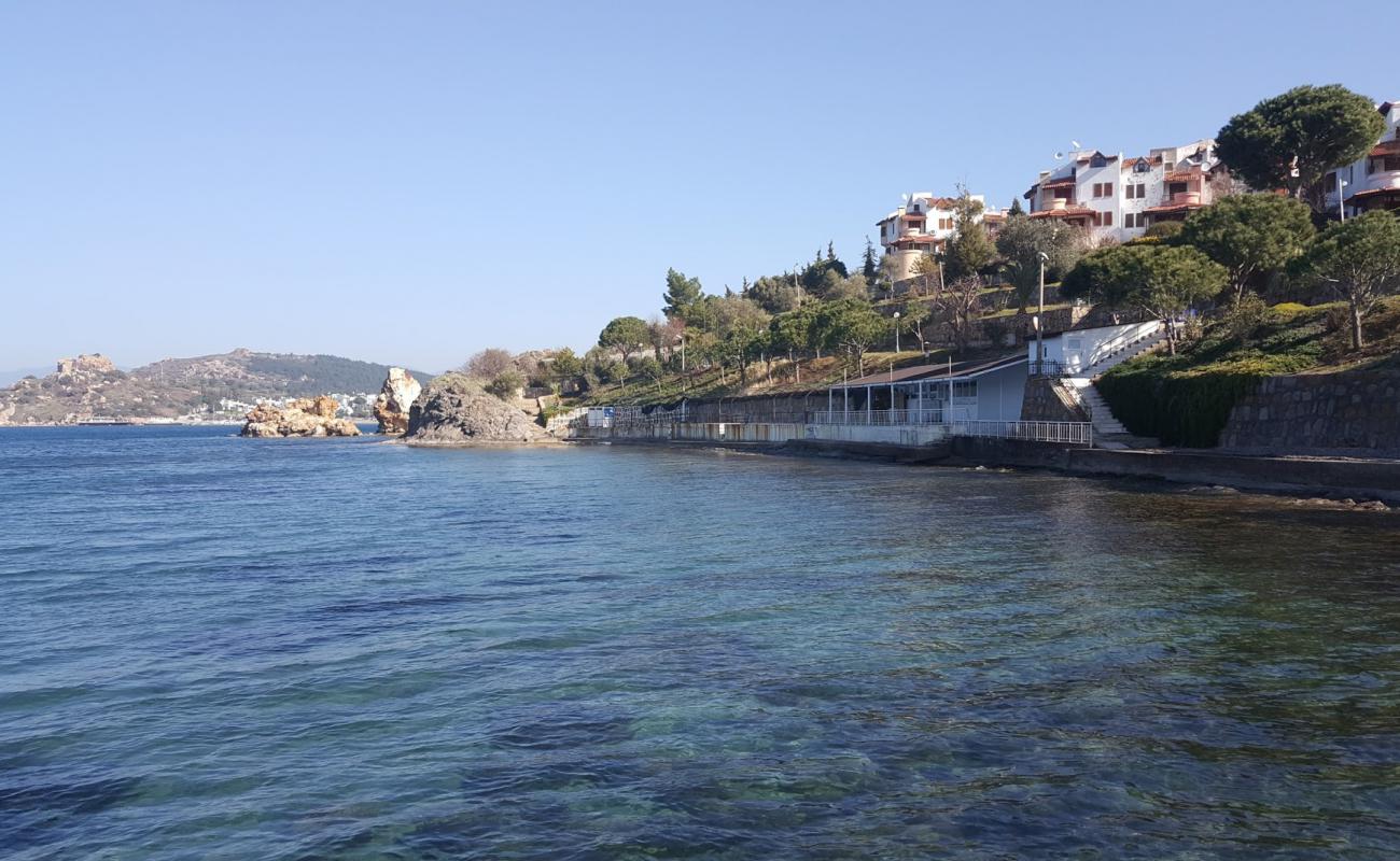 Intaland beach'in fotoğrafı beton kapak yüzey ile