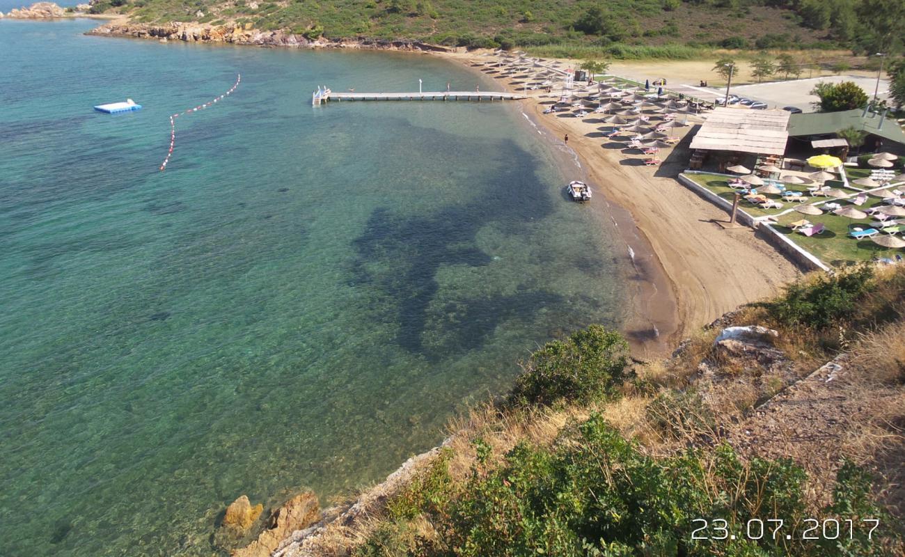 Tilki Koyu beach'in fotoğrafı parlak kum yüzey ile