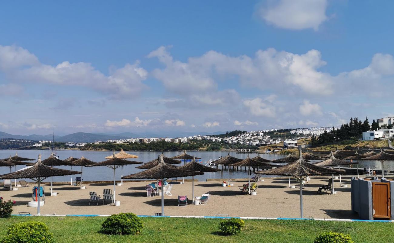 Shipyard beach'in fotoğrafı parlak kum yüzey ile