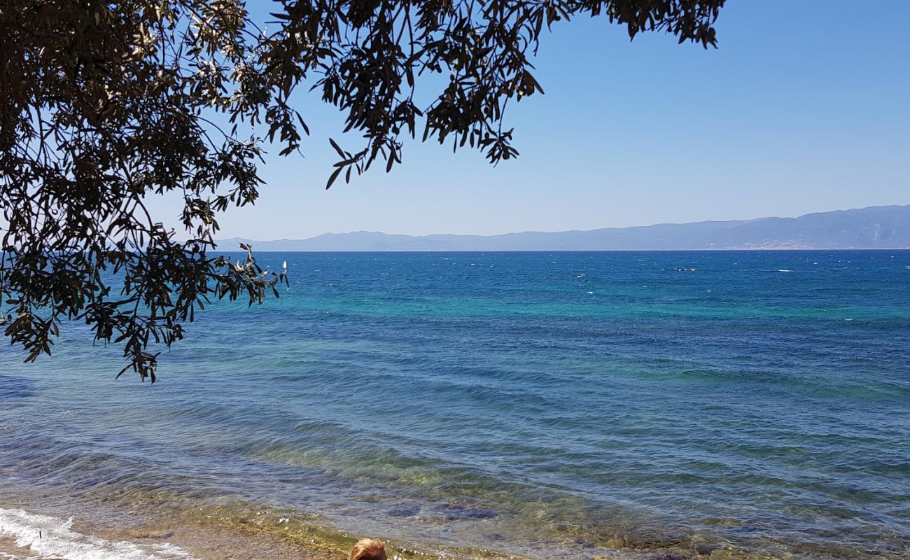 Karaagac beach II'in fotoğrafı taşlar yüzey ile