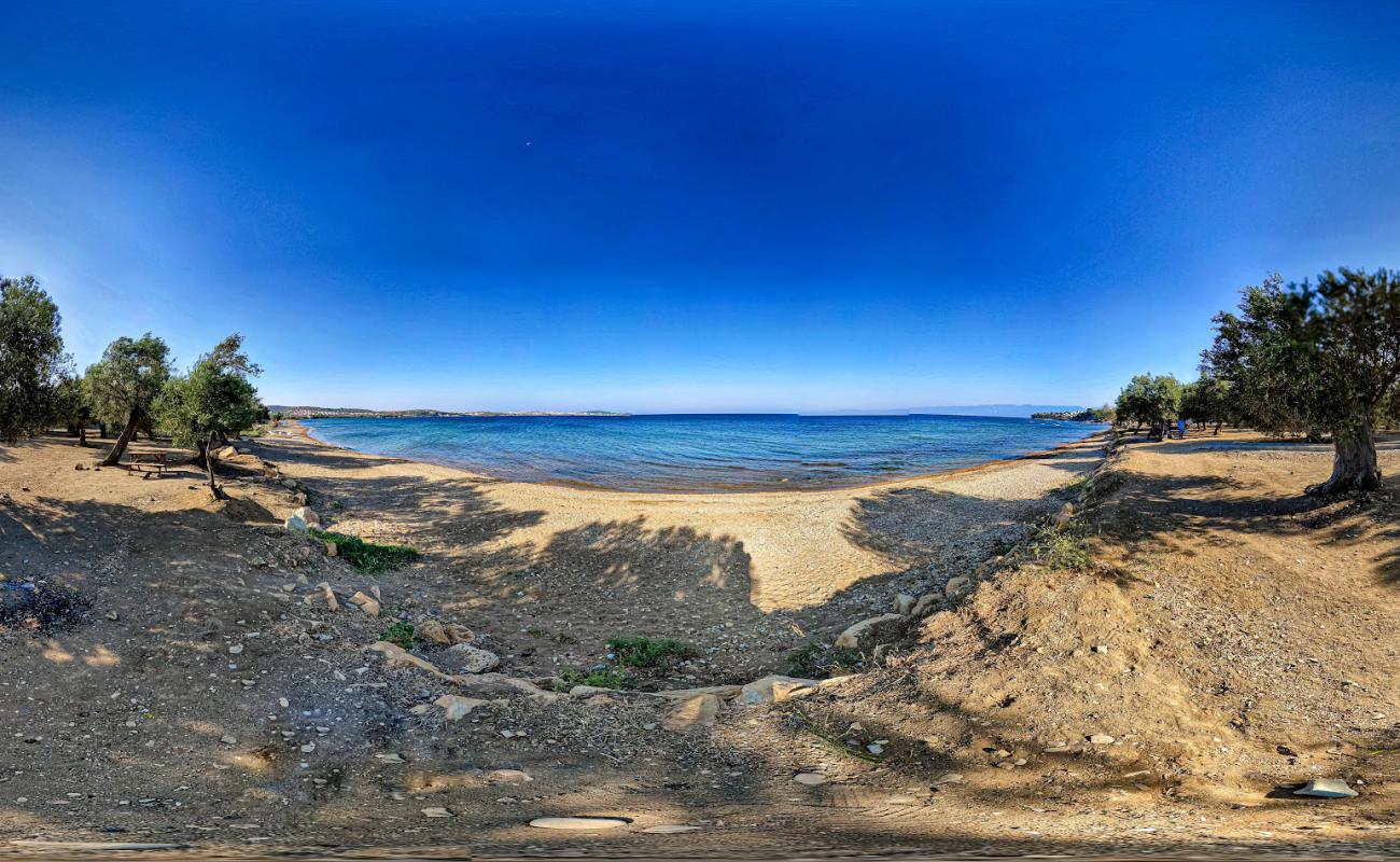 Altinyol Bay'in fotoğrafı siyah kum ve çakıl yüzey ile