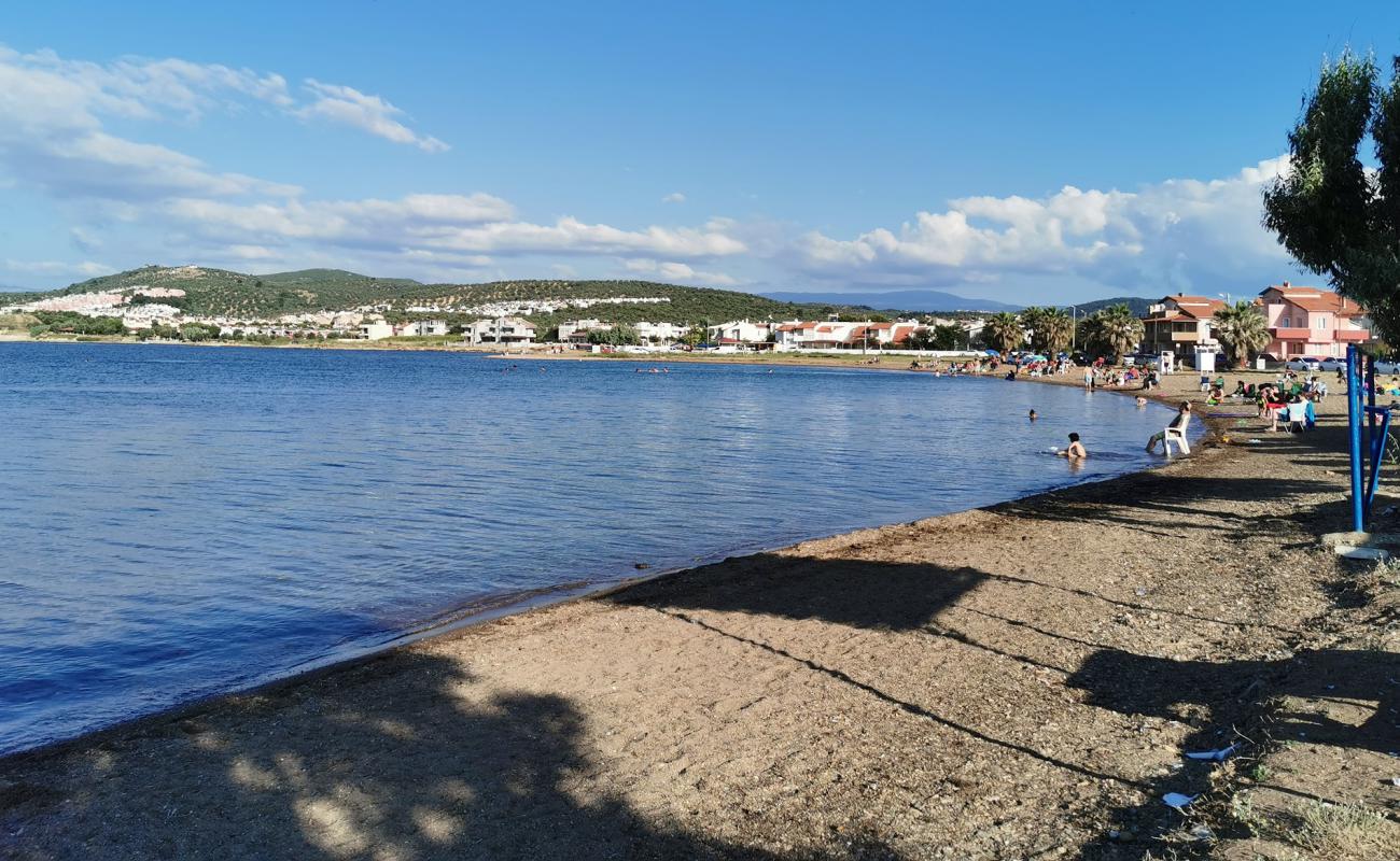 Pelitköy Sahil Plajı'in fotoğrafı çakıl ile kum yüzey ile