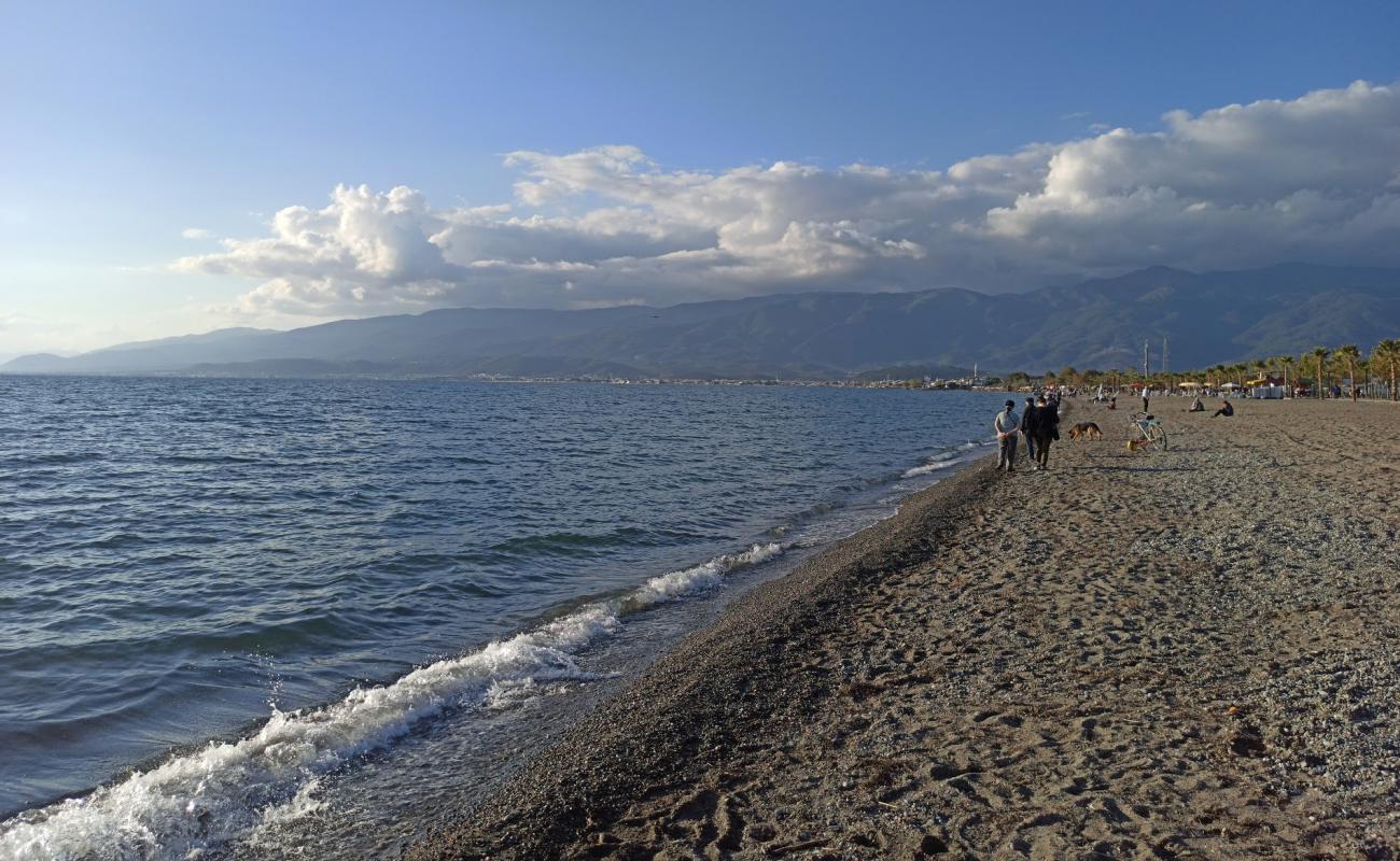 Turban beach'in fotoğrafı parlak kum yüzey ile