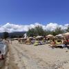 Palmera beach