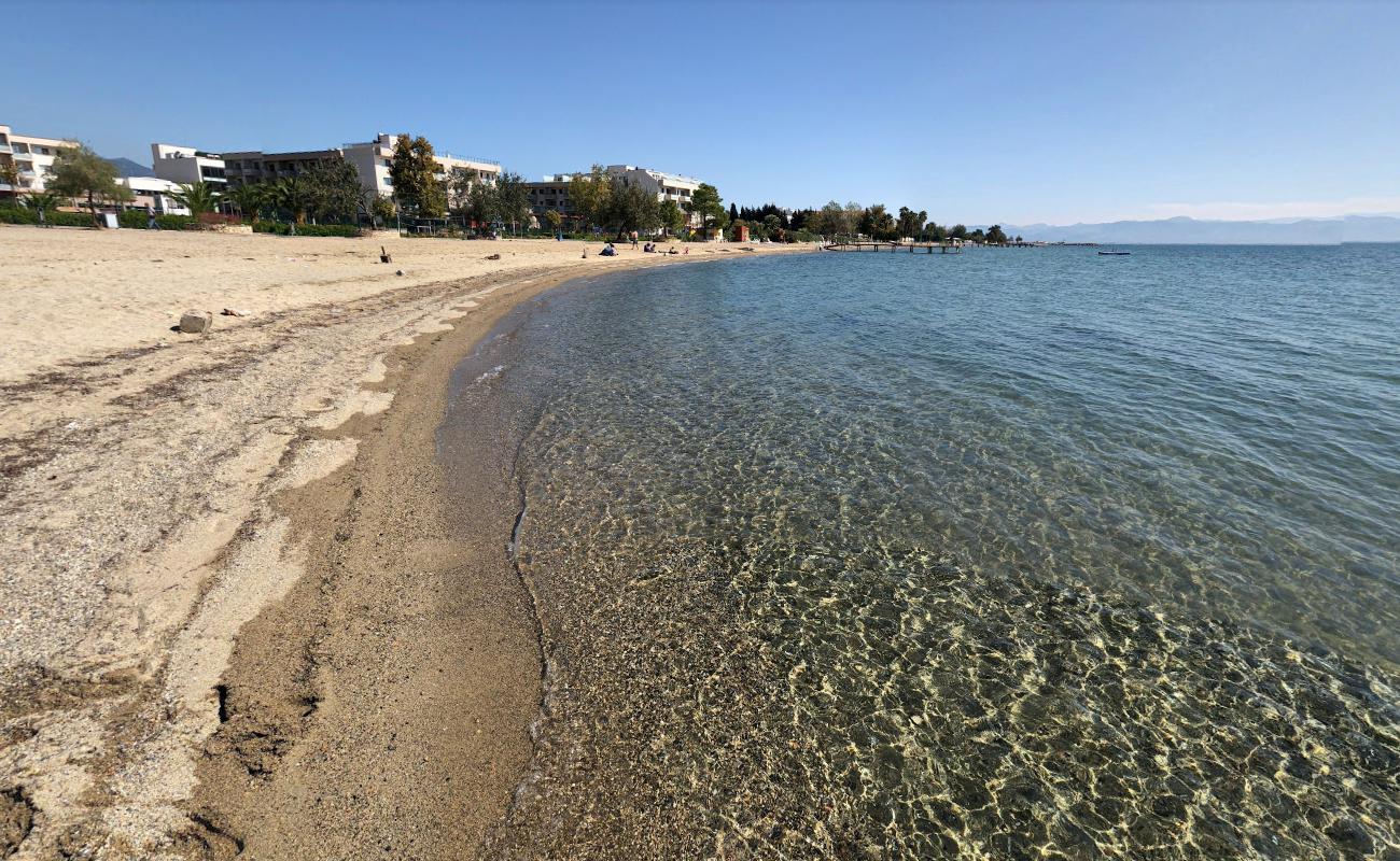 Palmera beach'in fotoğrafı ve yerleşim