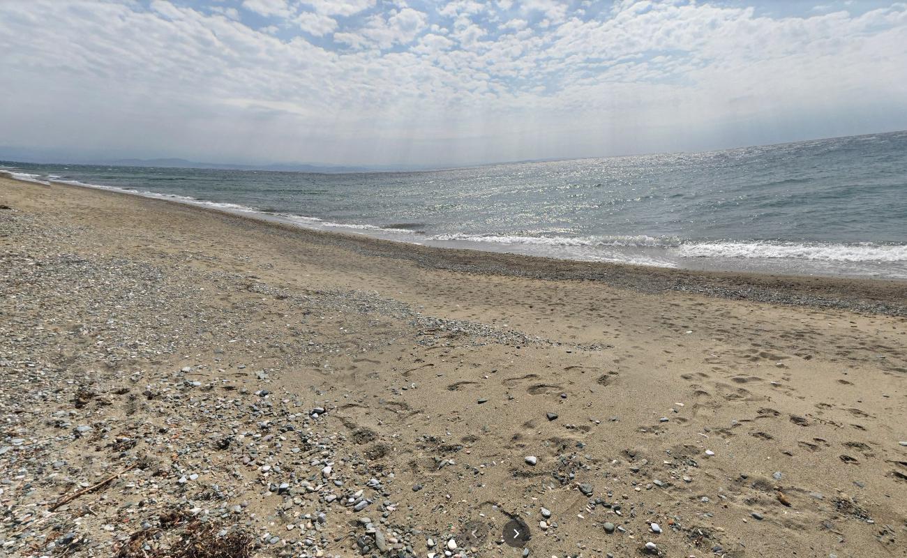 Sardunya beach'in fotoğrafı ve yerleşim