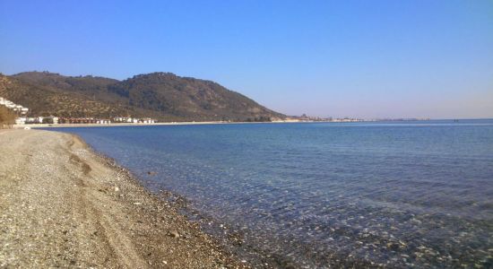 Antandros beach