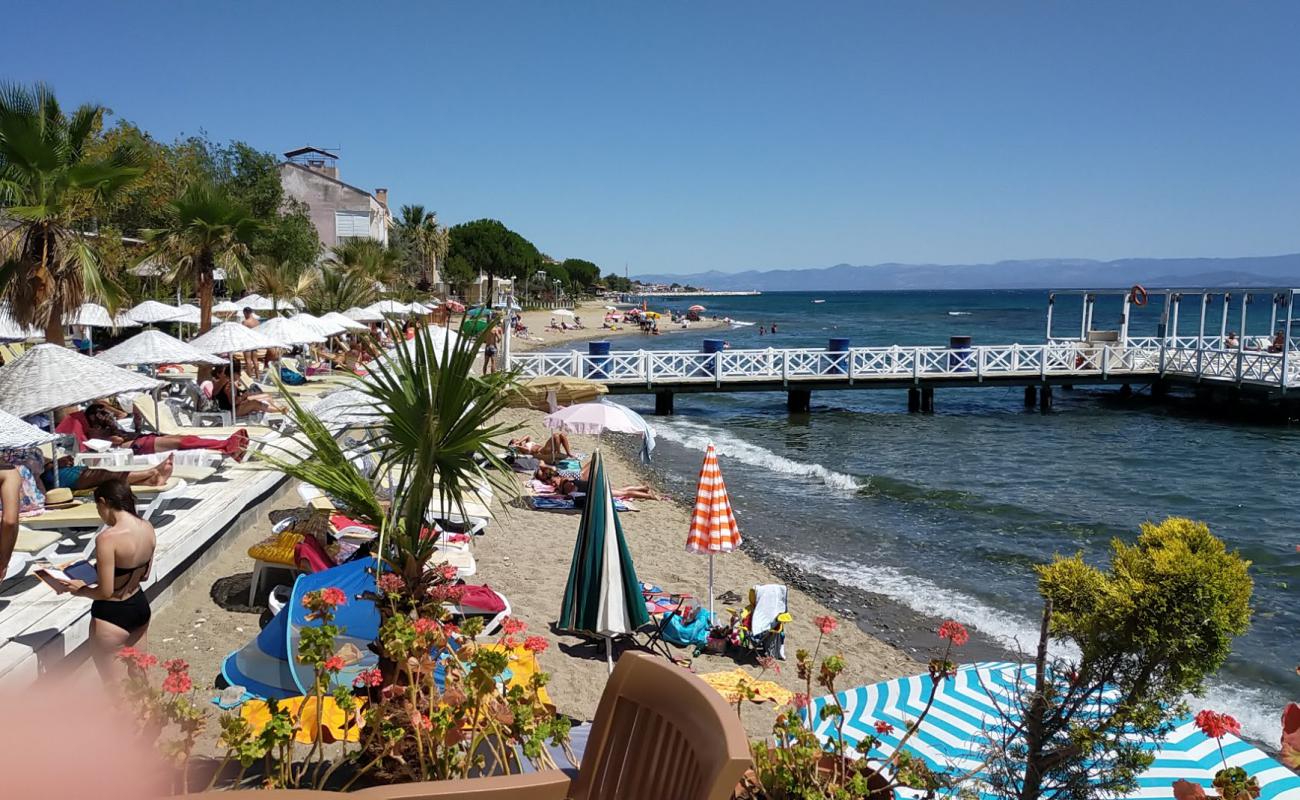 Manuka beach'in fotoğrafı çakıl ile kum yüzey ile