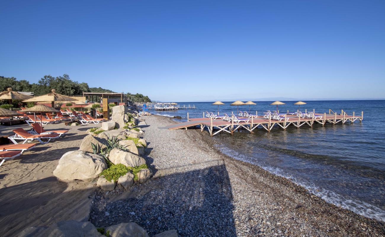 Assos Club beach'in fotoğrafı hafif çakıl yüzey ile