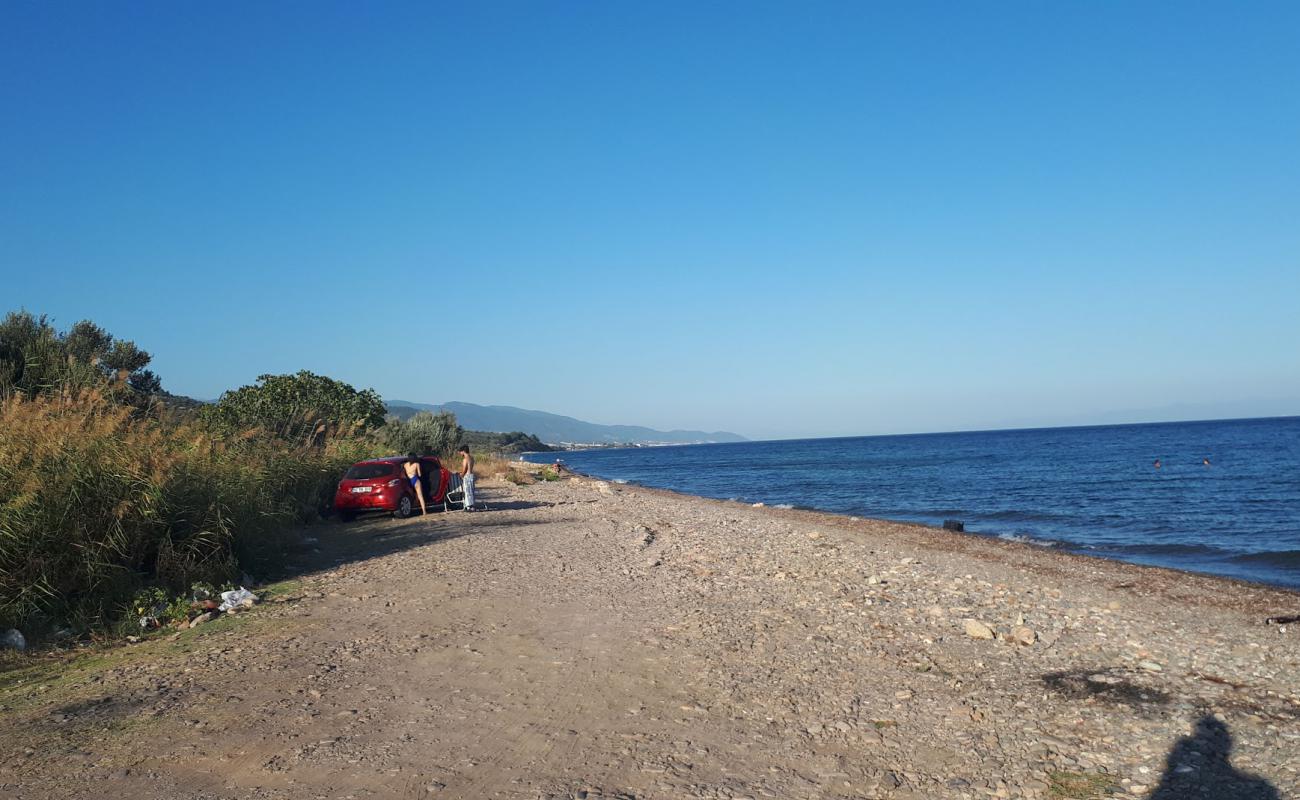 Assos Free beach'in fotoğrafı hafif çakıl yüzey ile