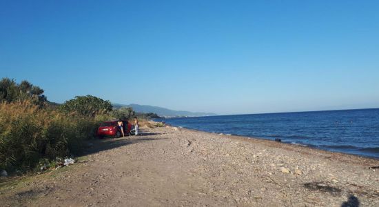 Assos Free beach