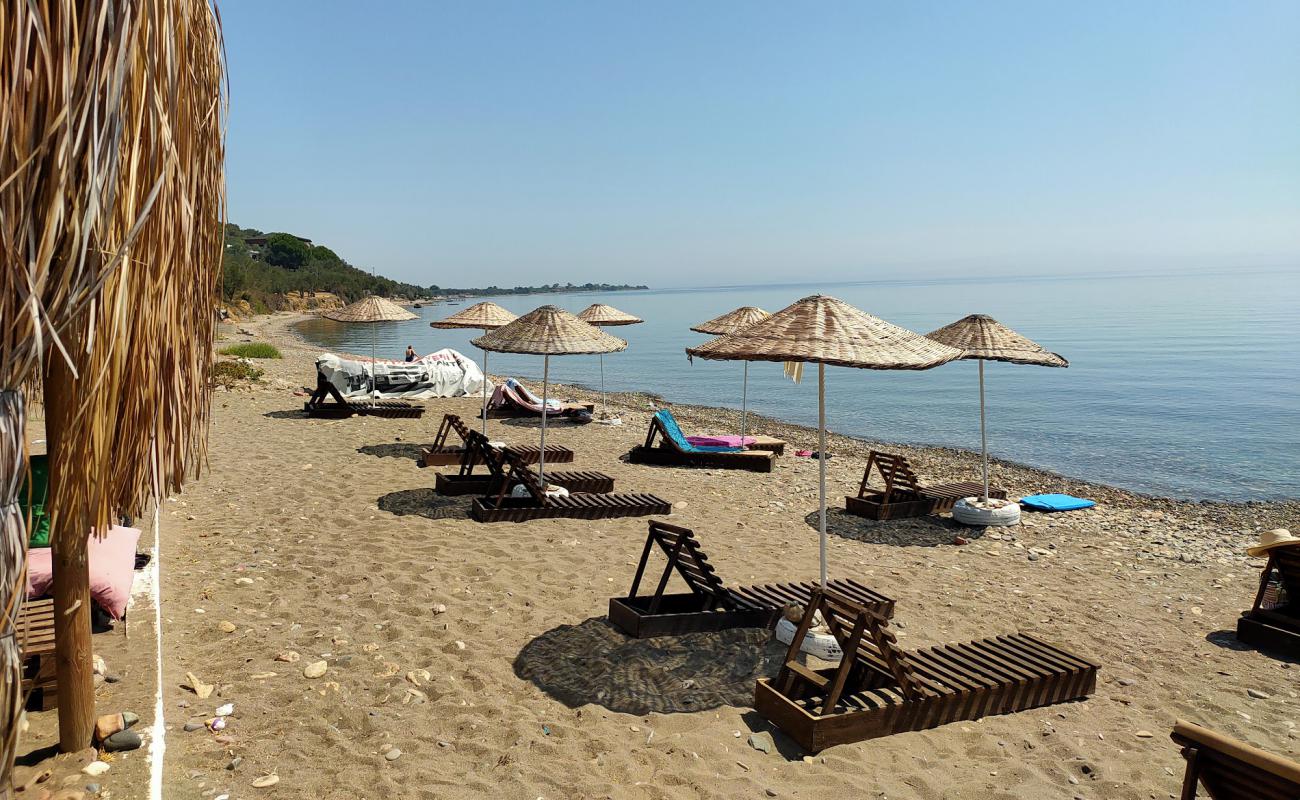 Gargara Kamp beach'in fotoğrafı çakıl ile kum yüzey ile