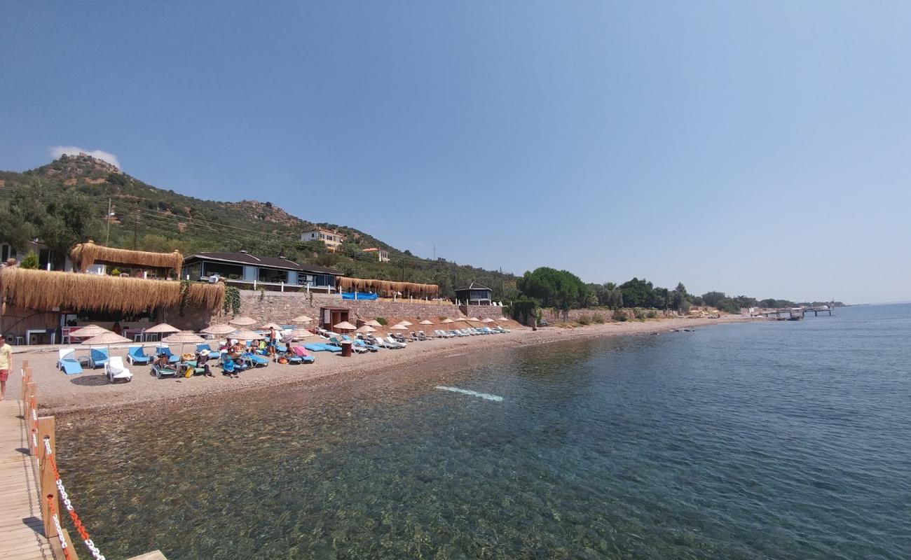 Kotti beach'in fotoğrafı çakıl ile kum yüzey ile