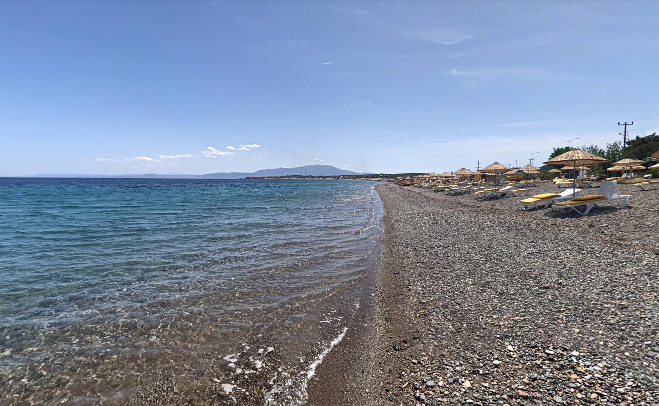 Galley beach'in fotoğrafı uçurumlarla desteklenmiş