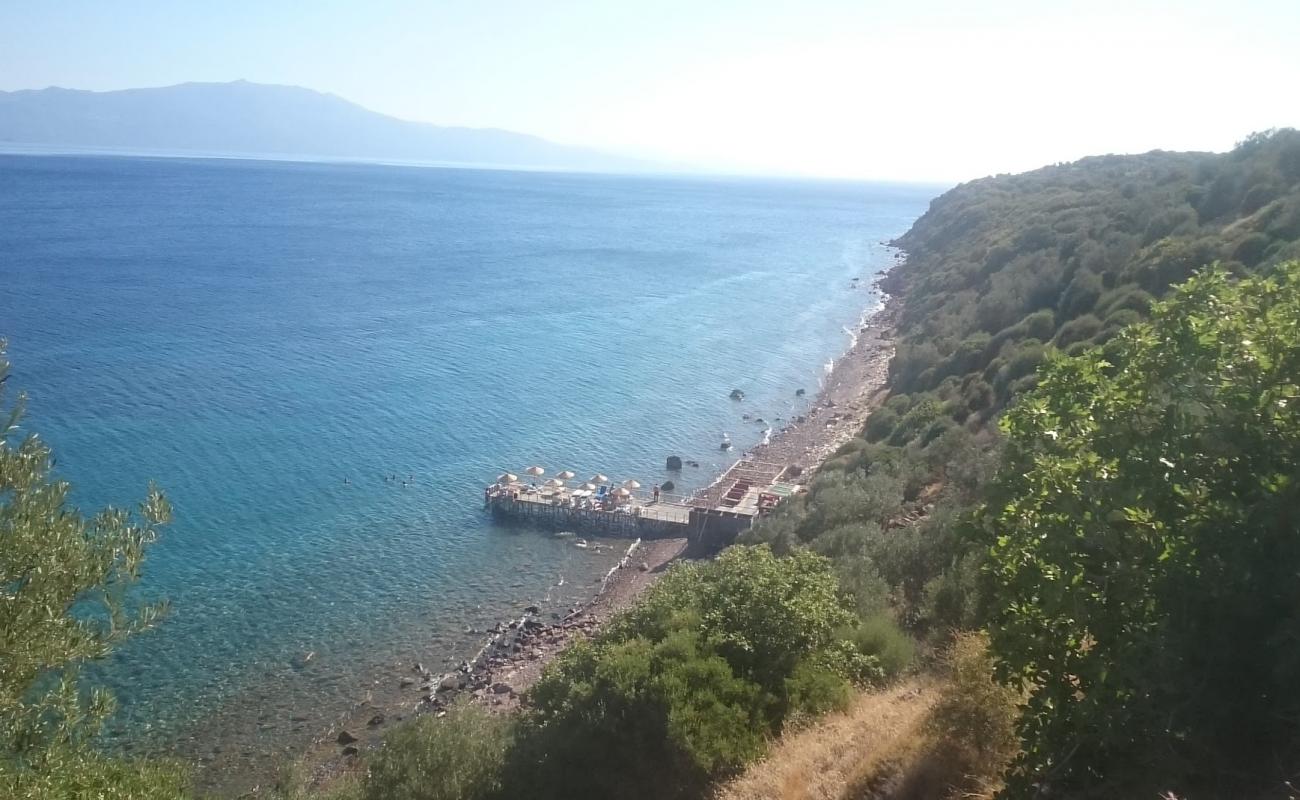 Sivrice beach'in fotoğrafı taşlar yüzey ile