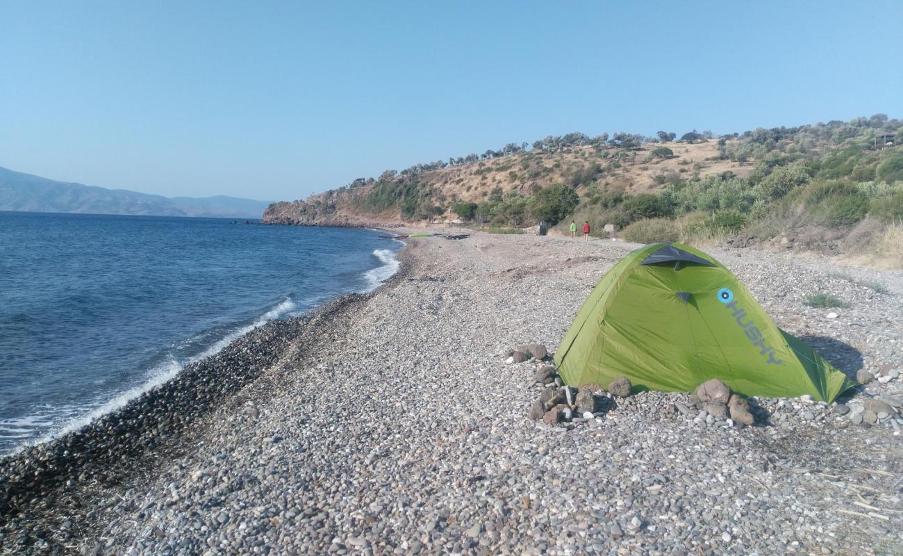 Kaldera-Assos beach'in fotoğrafı hafif çakıl yüzey ile