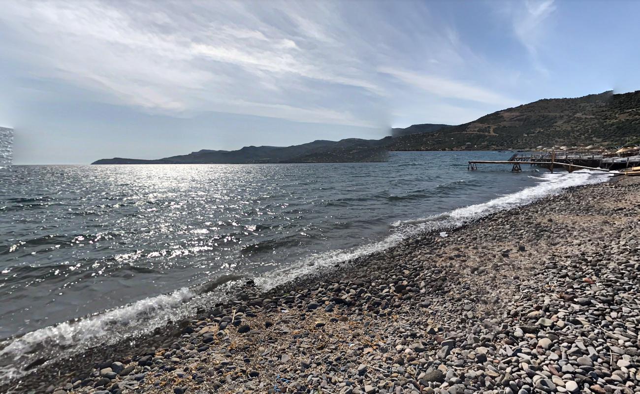 Sivrice beach'in fotoğrafı otel alanı