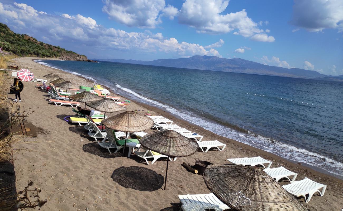 Neverland Camp beach'in fotoğrafı bej çakıl yüzey ile