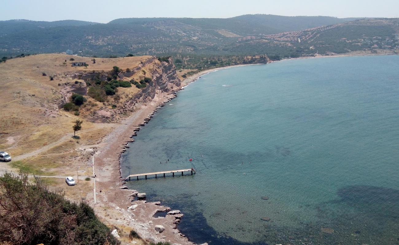 Apollo beach'in fotoğrafı hafif çakıl yüzey ile